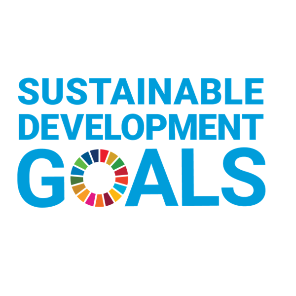 What are UN SDGs?